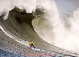 人人体育直播-NBA火箭队直播数据统计与观众互动分析