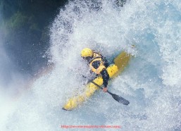 人人体育直播-欧冠历届积分榜数据统计与球队排名变化研究
